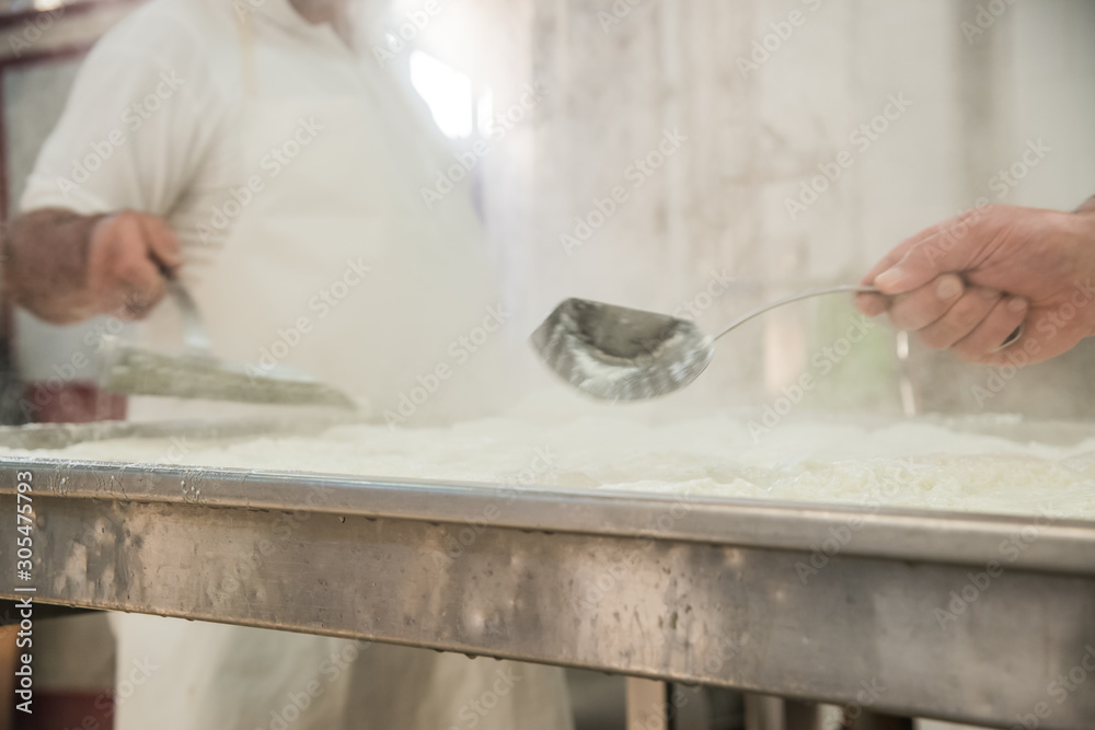 Caseificio con lavorazione mozzarella di bufala