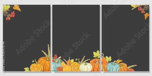 Set of cards with autumn pumpkins, foliage and fruits. Vertical templates