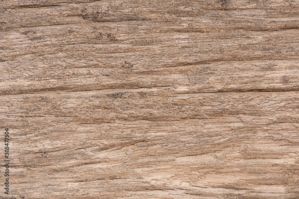 Naklejka premium Natural old wood texture background.
