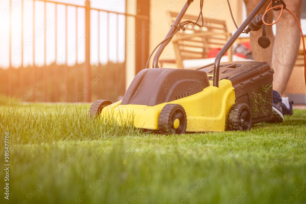 Fototapeta premium Lawn mower, green grass, equipment, mowing, gardener, care, work, tool, home, housekeeper in work