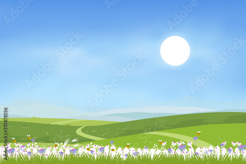 Sunny rural landscape of spring field with hills and blue sky and fluffy clous. Summer countryside with green mountains, meadows, wild flowers with clear sky and white clouds in sunnyday
