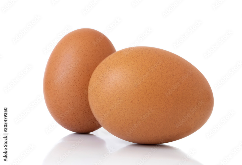 close-up egg chicken isolated on white background close-up egg chicken isolated on white background