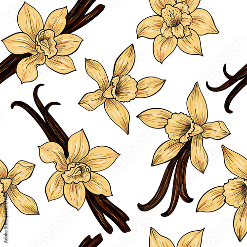 Vanilla flowers. Vector seamless pattern. Vintage style