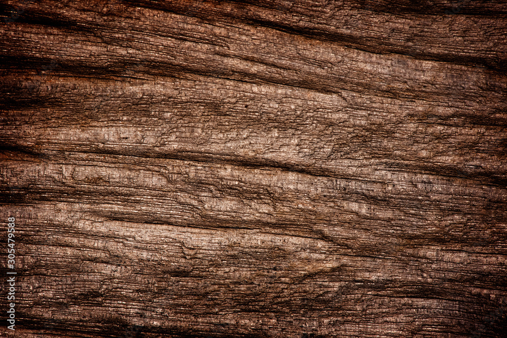 Fototapeta premium Natural old wood texture background.