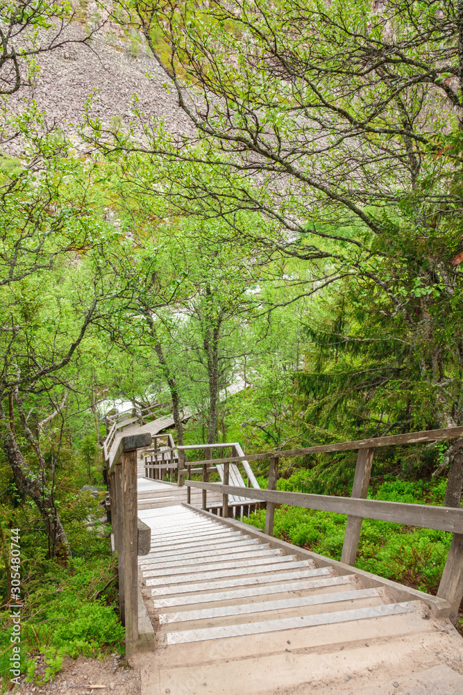 Hiking trail with wooden stairs into a forest ravine