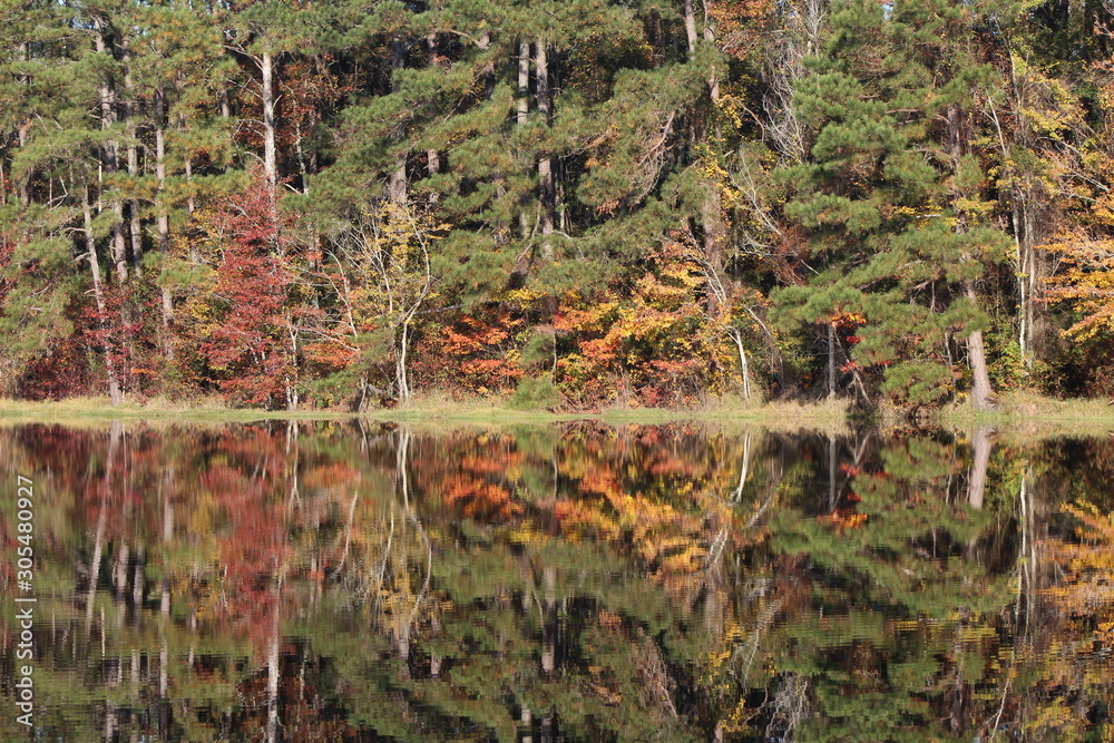 reflection of the fall colores in the pond