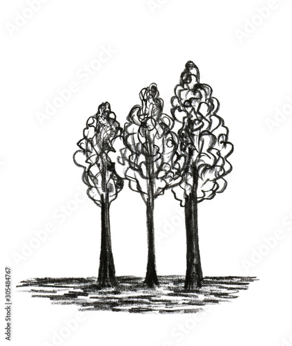 Stock illustration hand-drawn with charcoal pencil a group of trees of black color, silhouette of the forest, elements of nature.