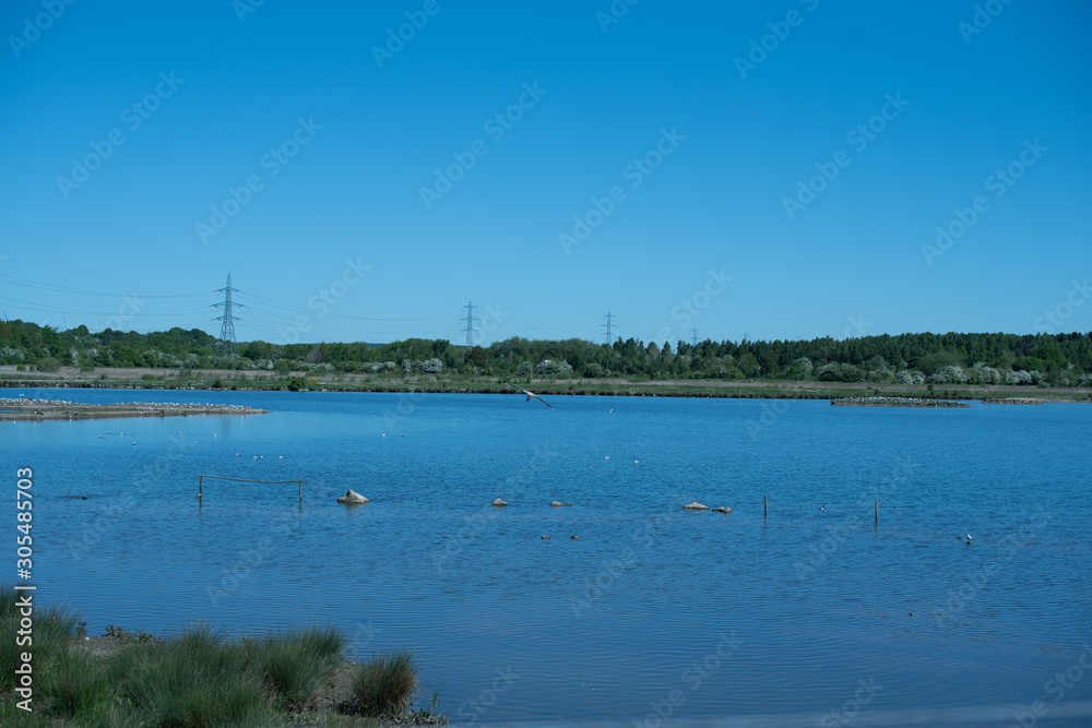 beautiul landscape of lake wirh birds in bird sanctury with grass in foreground and woodland in background.