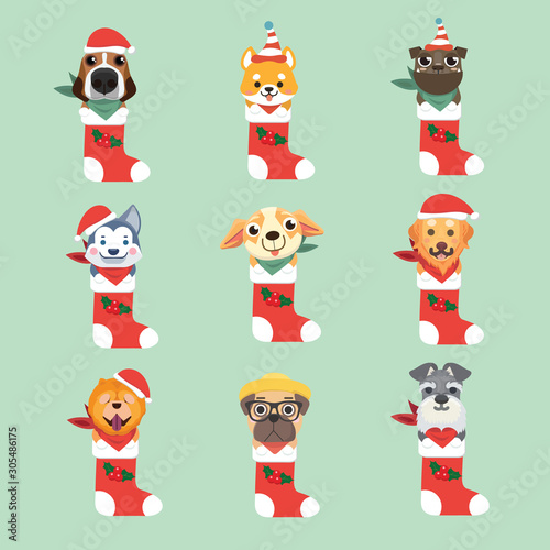 Set of New Year Icon dog. The puppy sits in a Christmas sock..