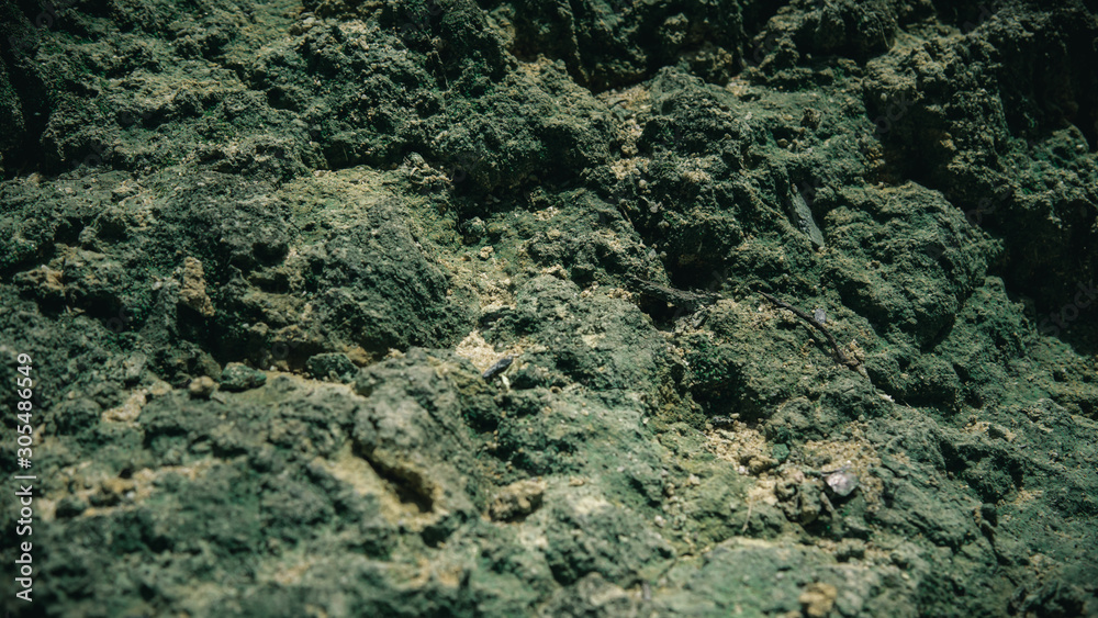 Close up of thick green mossy texture cover the rough stones and on the floor on the rocky ground. Close up of thick green mossy texture cover the rough stones and on the floor on the rocky ground.