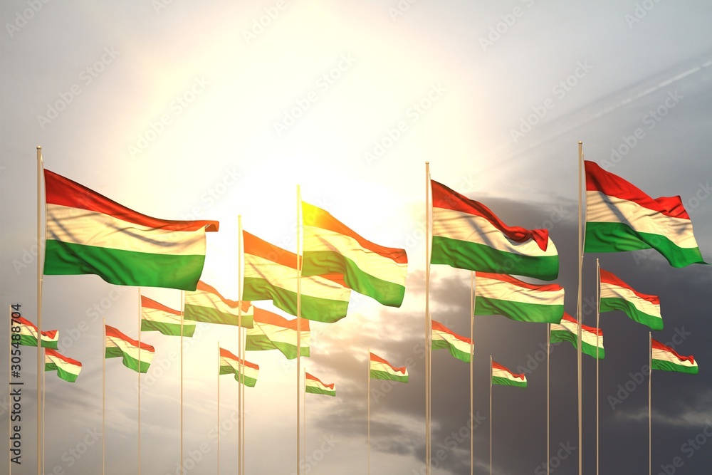 pretty many Hungary flags in a row on sunset with empty space for content - any occasion flag 3d illustration.. pretty many Hungary flags in a row on sunset with empty space for content - any occasion flag 3d illustration..