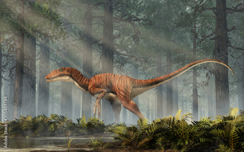 Deinonychus is a theropod dinosaur, a cousin of velociraptor, that lived during the Cretaceous. Here depicted with no feathers in a dense forest. 3D Rendering © Daniel Eskridge