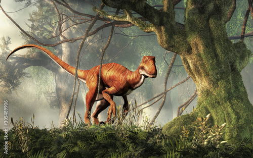 Deinonychus is a theropod dinosaur, a cousin of velociraptor, that lived during the Cretaceous. Here depicted with no feathers in a dense jungle. 3D Rendering © Daniel Eskridge