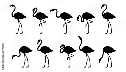 Set of silhouette flamingos. Cute flamingos collection. Flamingo animal exotic, nature wild fauna. Exotic tropical bird. Zoo animal. Exotic flamingo bird in different poses. Vector graphics