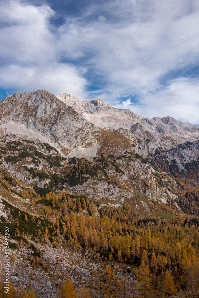 Yellow larch trees with Triglav mountain