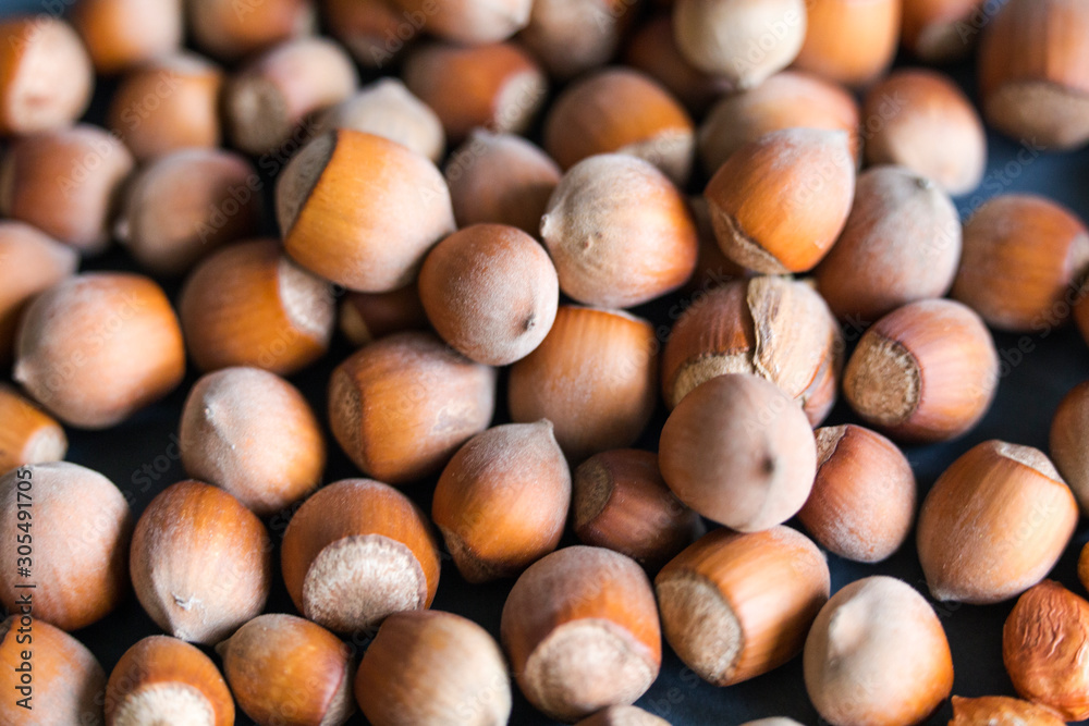 Hazelnut Hazelnut