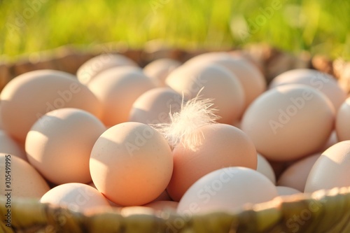 Farm fresh chicken eggs in basket on the grass in nature, healthy natural food