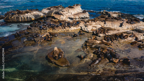 Aerial view of Seals on isolated rocks close to Great Ocean Road, Australia. photo