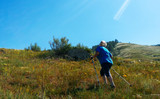 A grown woman on a walk with nordic walking sticks. The concept of a healthy lifestyle at any age.