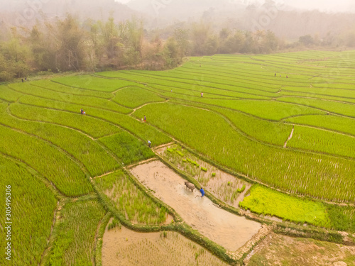 Aerial view of Luang Prabang paddy rice fields, Laos. photo