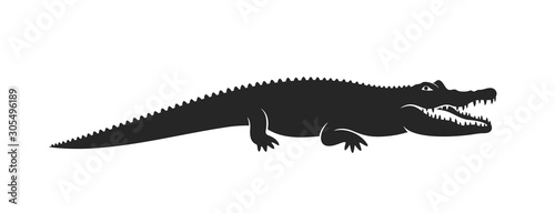 Crocodile logo. Abstract crocodile on white background