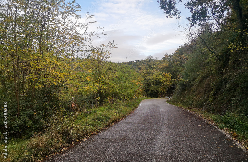 strada in salita in autunno strada in salita in autunno