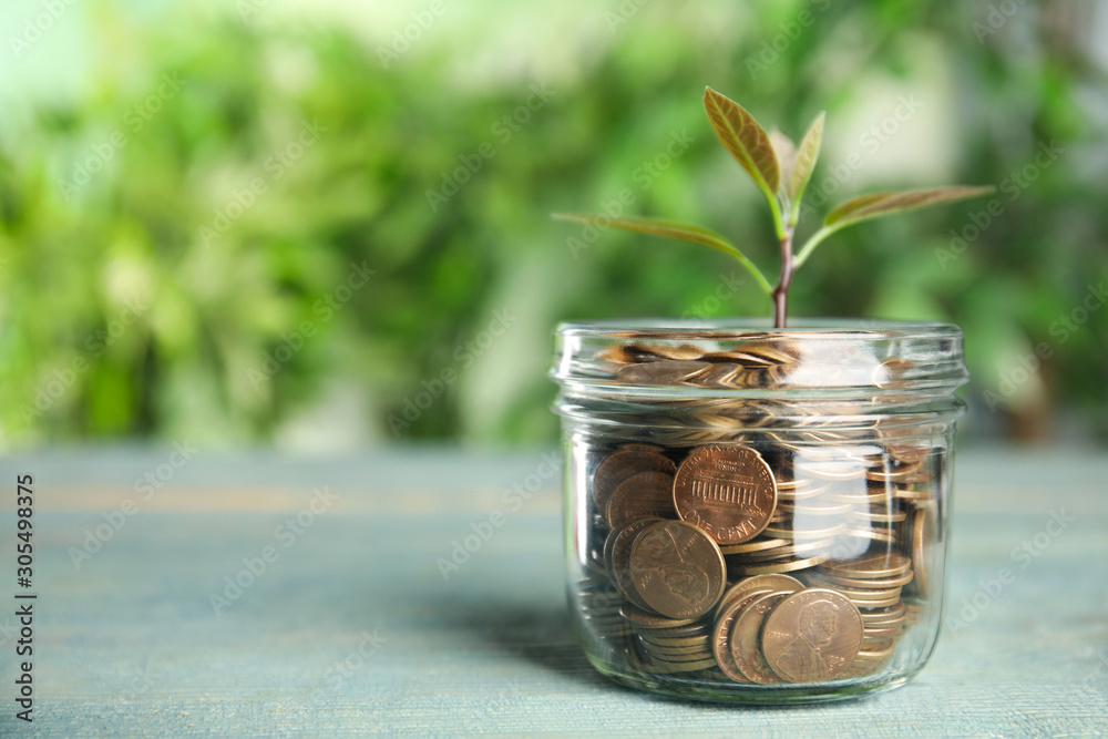 Glass jar with coins and green plant on light blue wooden table Glass jar with coins and green plant on light blue wooden table