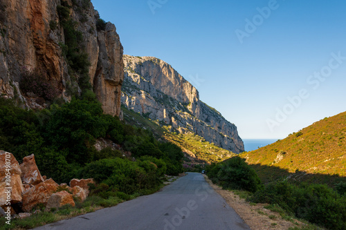 mountain road to the see 