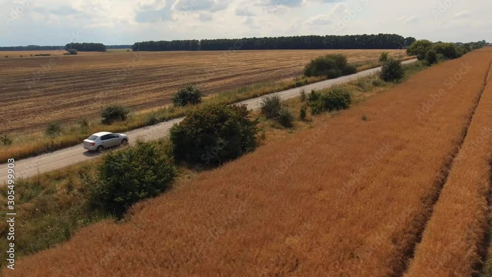 Car on the field picturesque road in the european rural landscape. Transportation and vehicle travel trip, green tourism. Aerial survey Car on the field picturesque road in the european rural landscape. Transportation and vehicle travel trip, green tourism. Aerial survey