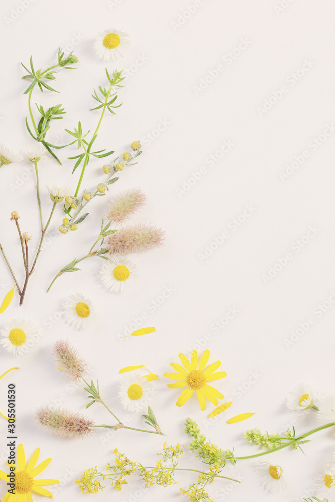 Fototapeta premium wildflowers on white paper background
