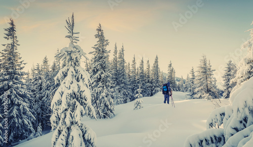 Wonderful Winter Landscape. Scenic image of fairy-tale woodland with colorful sky. Fantastic Frosty Morning in the Wintry Forest. Traveler in snowy mountain forest. Impressive picture of wild area