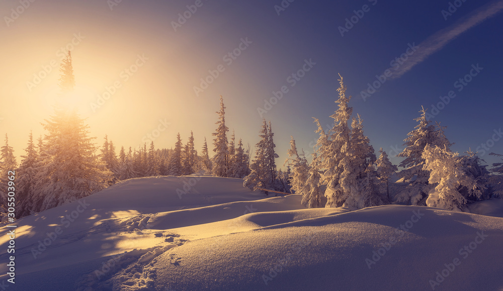 Splendid winter forest landscape in sunny day. Icy snowy fir trees glowin in sunlight. winter holiday concept. travel day. wonderland in winter. Amazing Nature background. Christmas holiday concept. Splendid winter forest landscape in sunny day. Icy snowy fir trees glowin in sunlight. winter holiday concept. travel day. wonderland in winter. Amazing Nature background. Christmas holiday concept.