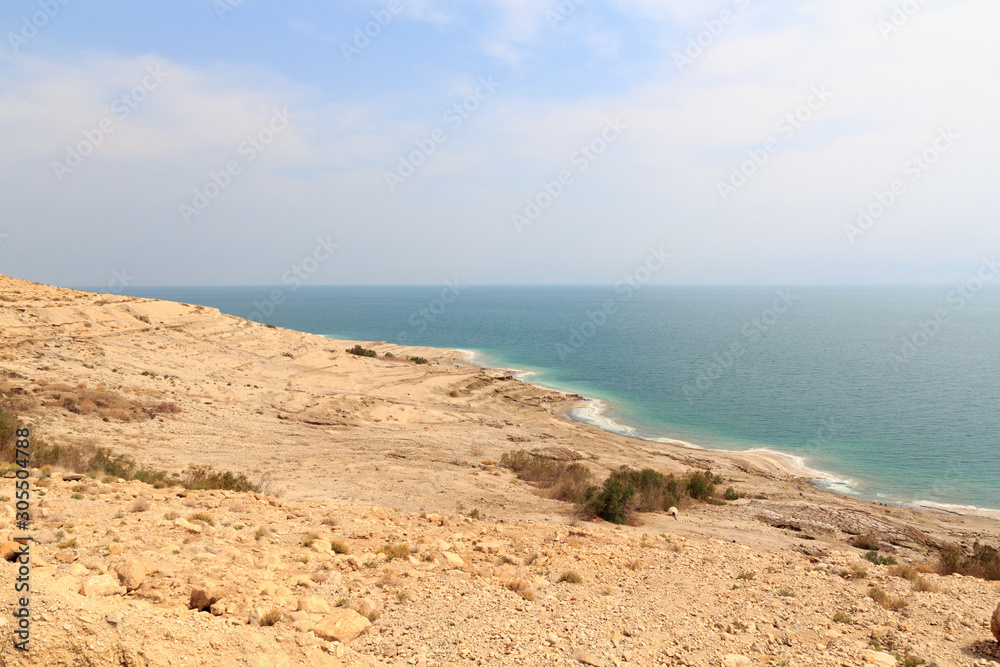 Salt lake Dead sea shore panorama in the west bank, Israel