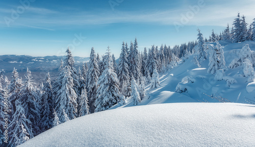 Winter background of snow and frost Fantastic winter forest landscape during sunset. Icy snowy fir trees glowin in sunlight. winter holiday concept. wonderland in winter. Christmas Holiday Concept.