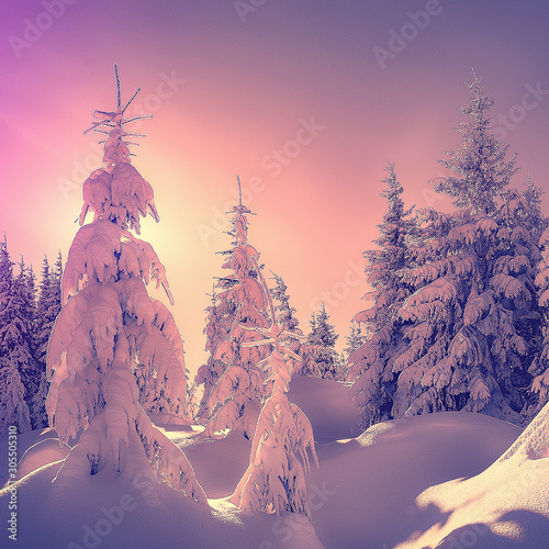 Fantastic winter forest landscape in the sunset. Icy snowy fir trees glowin in sunlight. winter holiday concept. travel day. wonderland in winter. instagram filter. retro style. creative image. © jenyateua