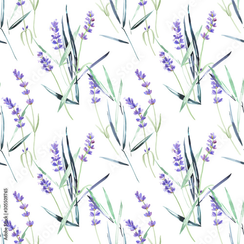 Watercolor floral pattern, lavender, wildflowers, garden grass, leaves on an isolated white background. Botanical painting, stock illustration.