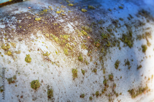 Background image of old, gray, rusty metal in moss.