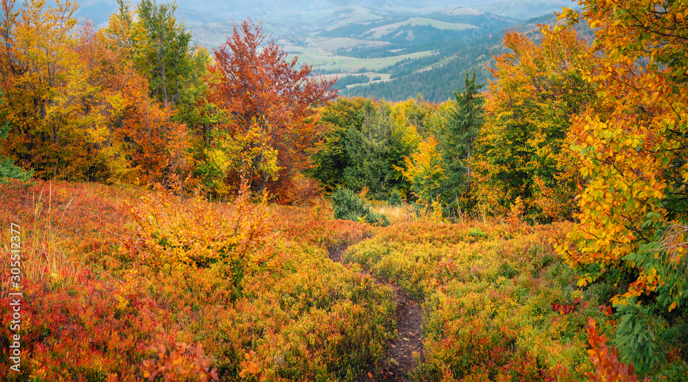 Mountain landscape hills at autumn covered red carpet leaves