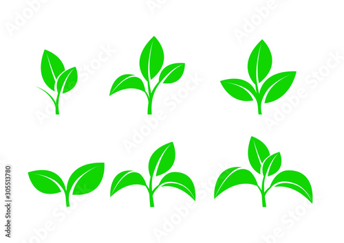 Sprout with leaves. A symbol of an environmentally friendly or rapidly decaying product that does not harm the environment. Vector illustration
