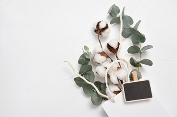 Mock up autumn of Eucalyptus leaves and cotton plant with place for text on white background. Wreath made of eucalyptus branches. Flat lay, top view