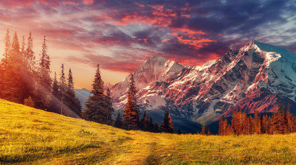 Leinwandbilder Honigfarbe Awesome alpine highlands in sunny day. Scenic image of fairy-tale Landscape with colorful sky under sunlit, over the Majestic Rock Mountains. Wild area. Megical Natural Background. Creative image  © jenyateua