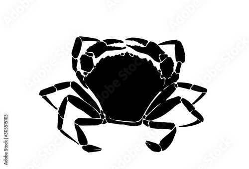 Graphical crab isolated on white background, vector illustration,sea-food silhouette