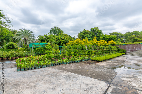 Plants are prepared for moving to the ground in city public park. Fresh green plants and trees. Cloudy weather. © Martin