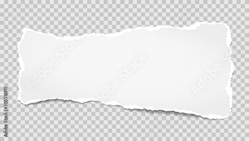 Piece of torn, white realistic horizontal paper strip with soft shadow is on grey squared background. Vector illustration