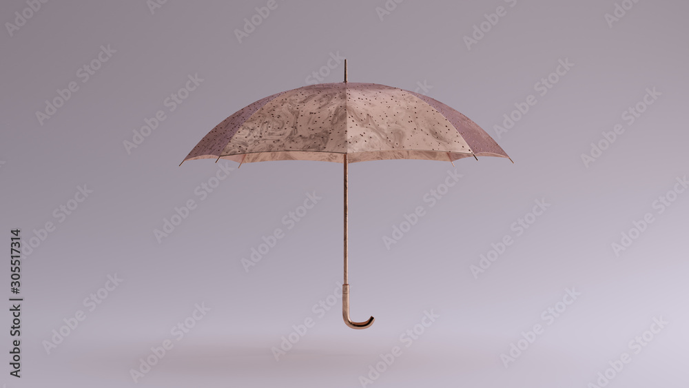 Bronze Umbrella Straight View 3d illustration 3d render	