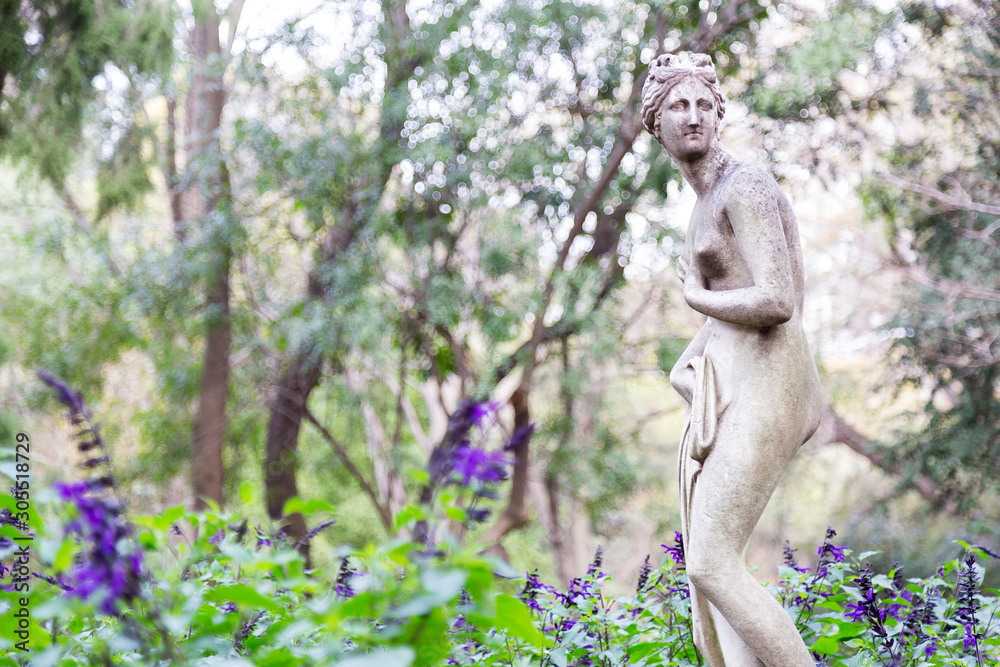 Obraz premium Mirada