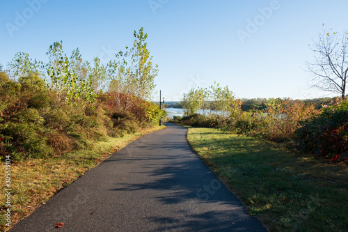 Outdoor tree lined paved park roadway.  Paved walkway with nature background.