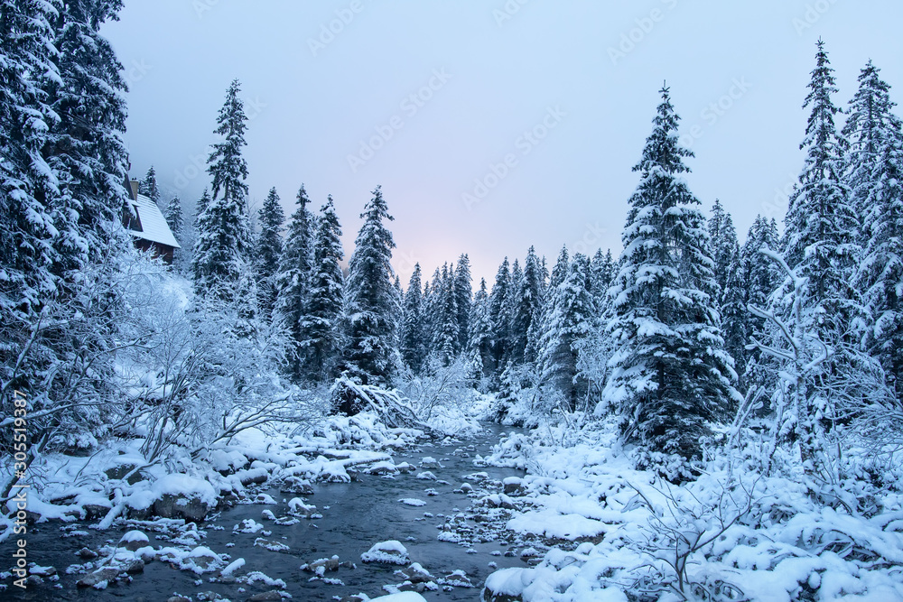 Frosty winter landscape. Snowy trees on mountain river side. Winter in mountains. Beautiful nature in december. Christmas time