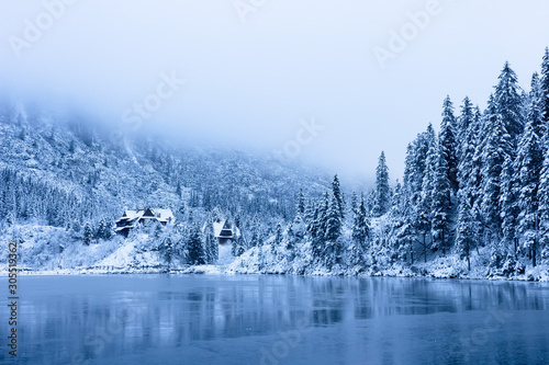 Obraz na płótnie Winter nature. Snowy trees on icy lake shore in mountains. Scenic winter landscape. Beautiful ice mountain lake w salonie