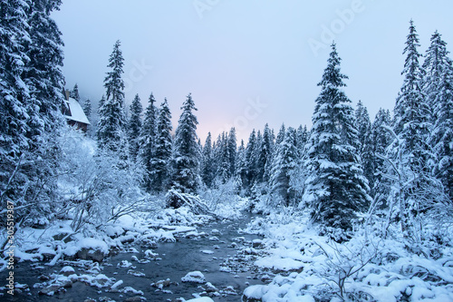 Obraz na płótnie Frosty winter landscape. Snowy trees on mountain river side. Winter in mountains. Beautiful nature in december. Christmas time w salonie